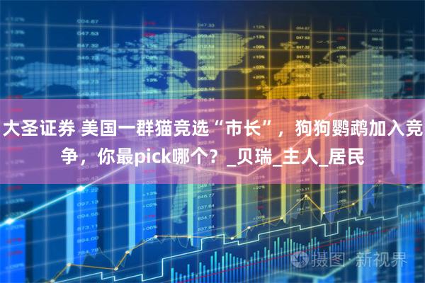 大圣证券 美国一群猫竞选“市长”，狗狗鹦鹉加入竞争，你最pick哪个？_贝瑞_主人_居民