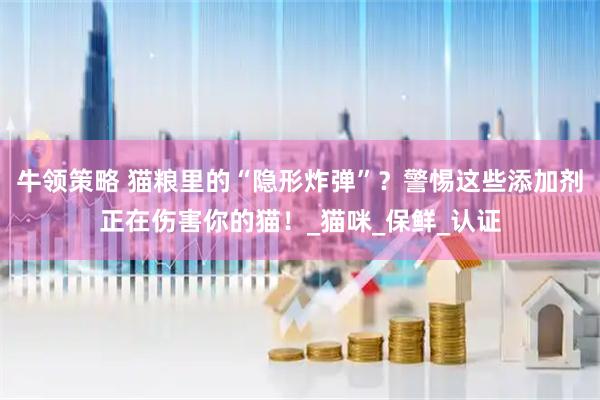 牛领策略 猫粮里的“隐形炸弹”？警惕这些添加剂正在伤害你的猫！_猫咪_保鲜_认证