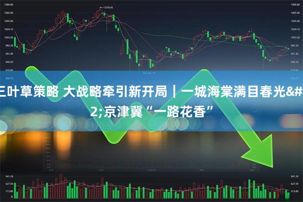 三叶草策略 大战略牵引新开局｜一城海棠满目春光 京津冀“一路花香”