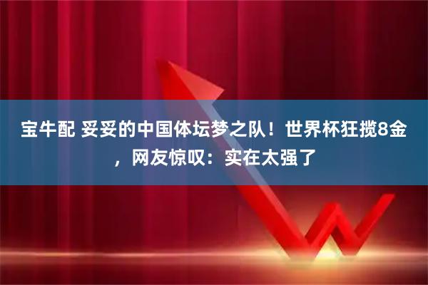 宝牛配 妥妥的中国体坛梦之队！世界杯狂揽8金，网友惊叹：实在太强了